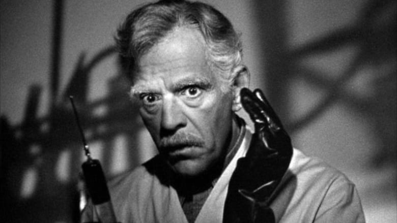 Before I Hang Before I Hang