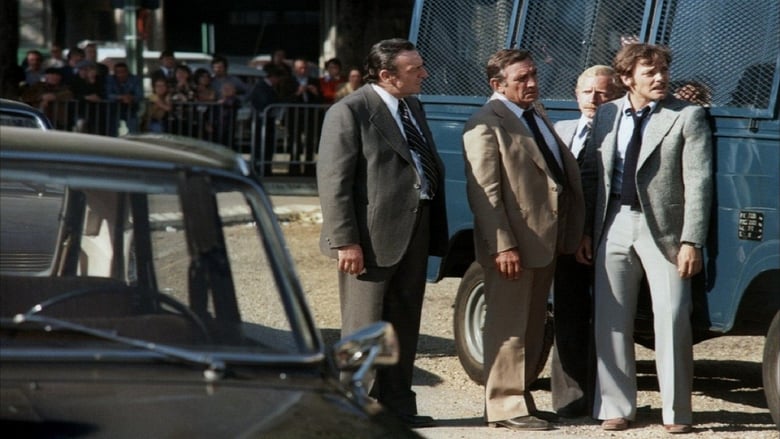 The French Detective