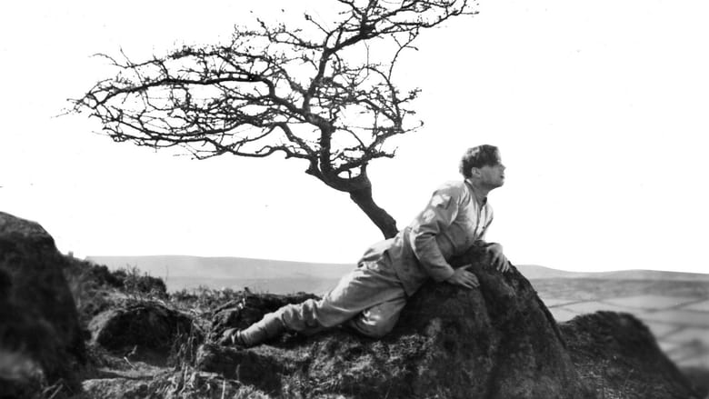 A Cottage on Dartmoor